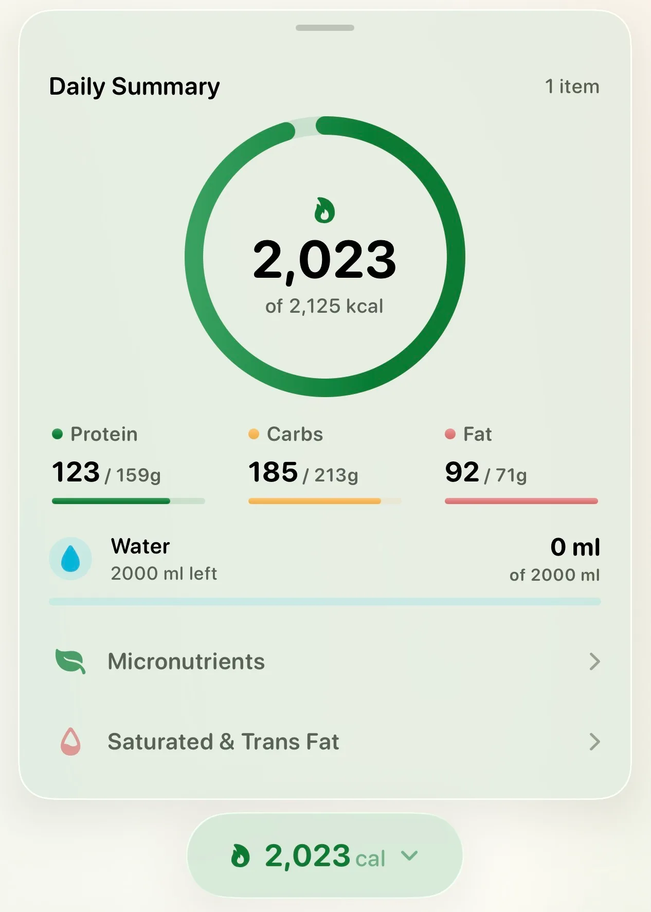Daily summary with calories, macros, and full micronutrient breakdown
